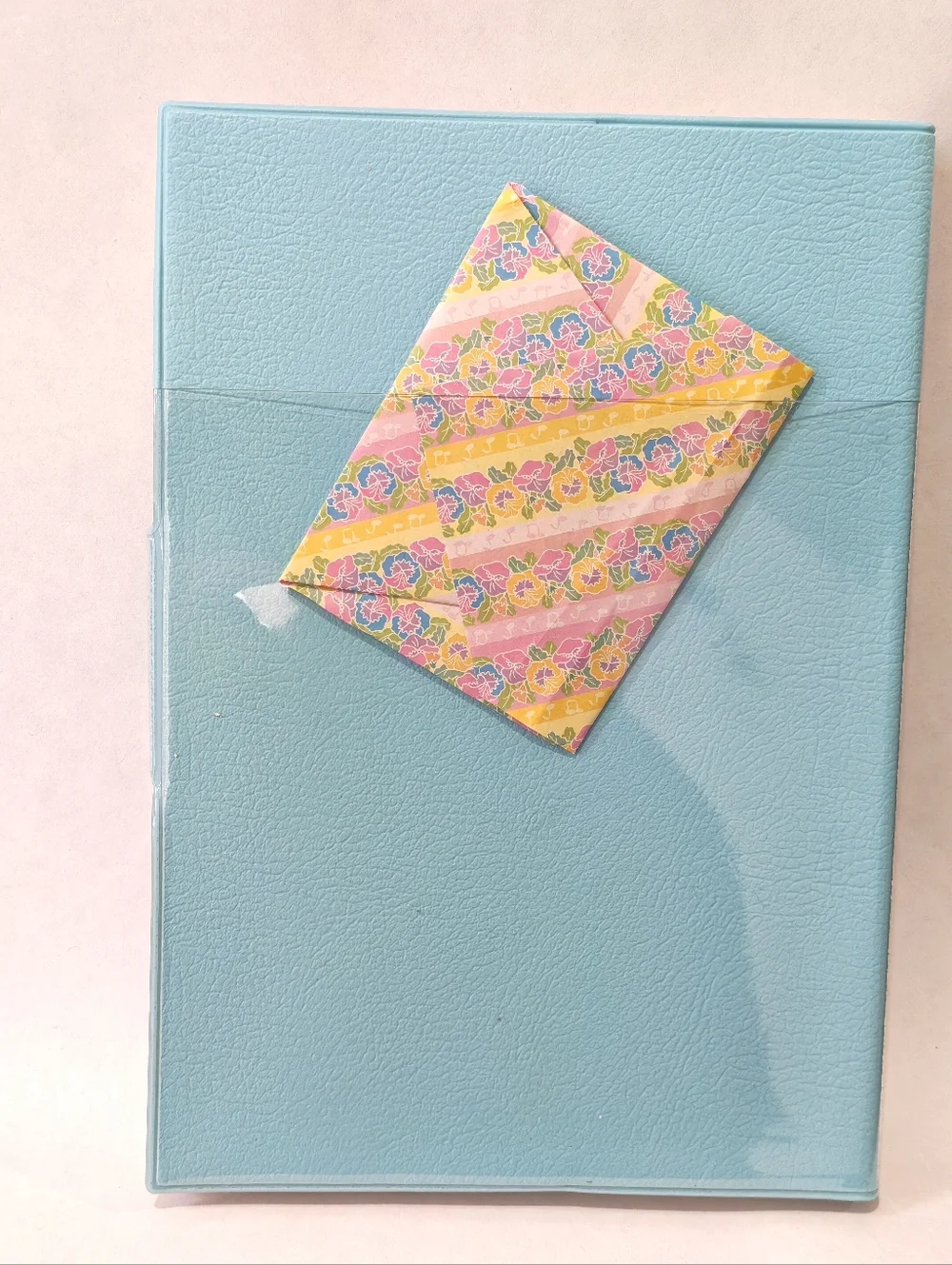 Light Blue Photo Diary - Picture 8 of 8